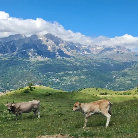 Casa vacanze Casa Luna *