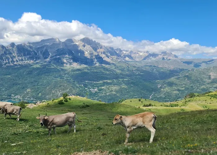 Casa vacanze Casa Luna *